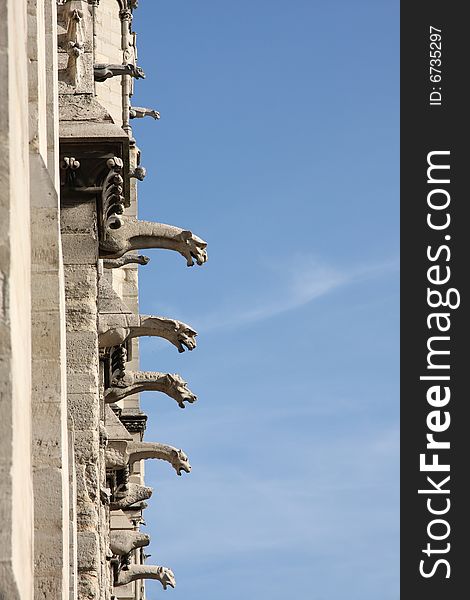 The gargoyles of Notre Dame Cathedral, paris