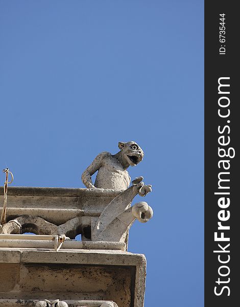 The Gargoyles of Notre Dame Cathedral, Paris