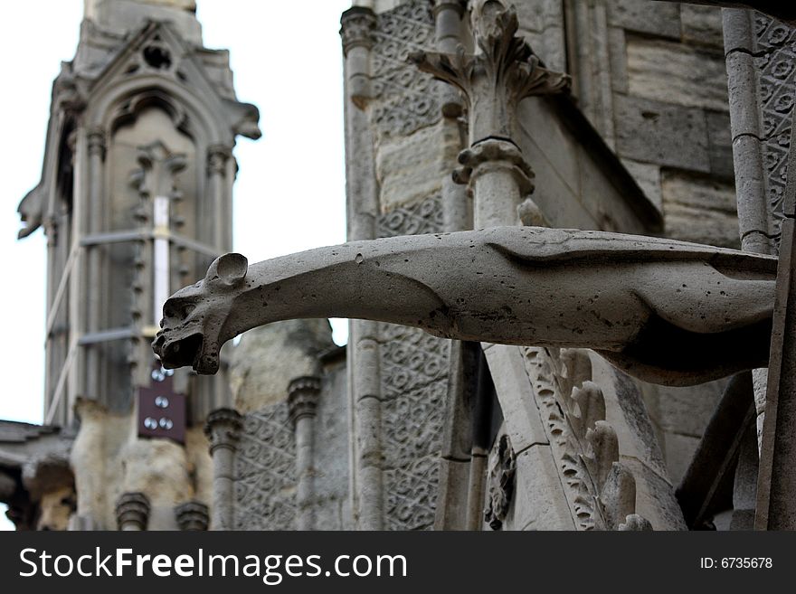 The Gargoyles of Notre Dame Cathedral, Paris