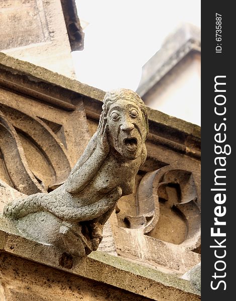 The Gargoyles of Notre Dame Cathedral, Paris