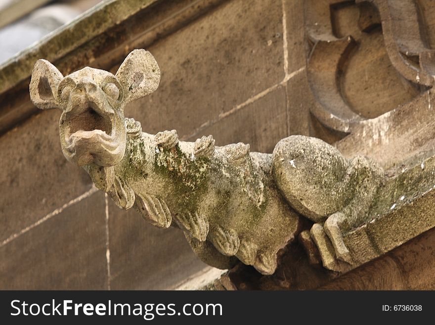 The Gargoyles of Notre Dame Cathedral, Paris