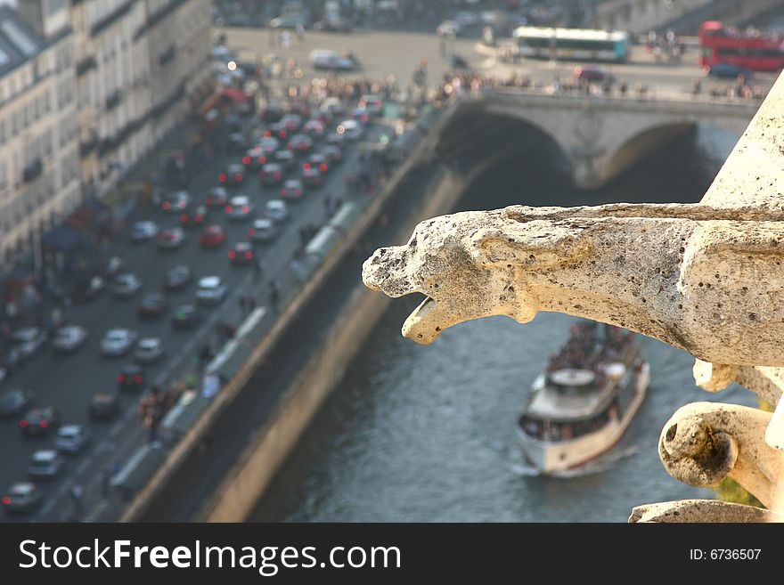 The Gargoyles of Notre Dame looking out over Paris