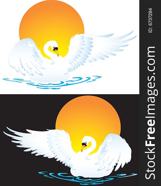 Vector illustration for swan in diferent background