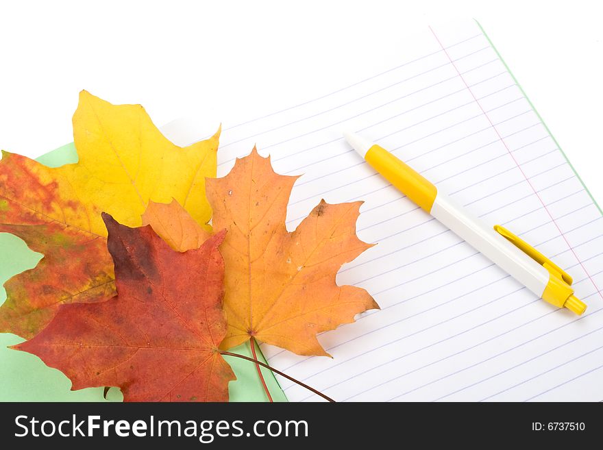 Writing-book, Pen And Autumn Leaves