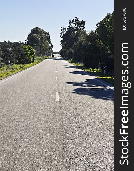 Straight road with bushes in the roadside in a sunny day