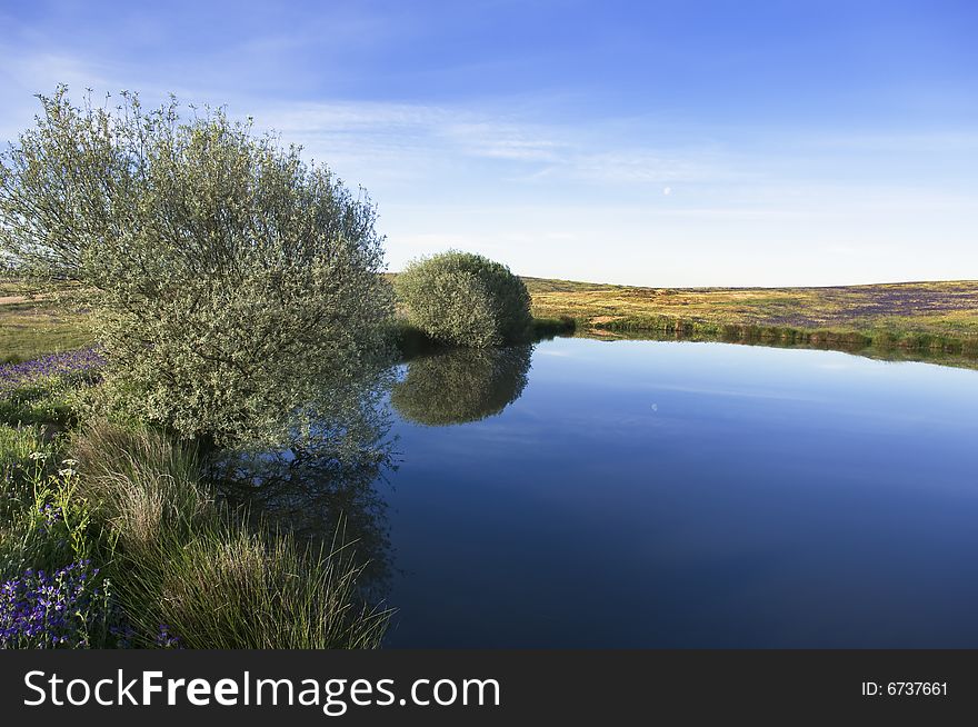 Small lake in the beautiful morning light