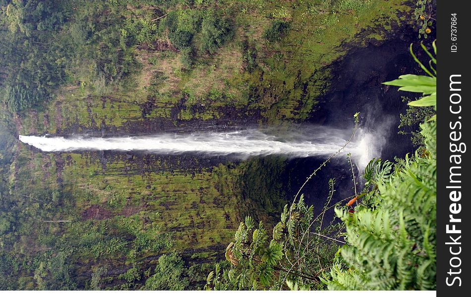 Beautiful Akaka Falls in Hilo Hawaii