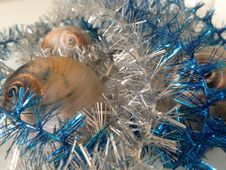 Neverita Duplicata &x28;Shark Eye&x29; Sea Snail Shells Between Christmas Tinsel. Royalty Free Stock Photo Neverita Duplicata &x28;Shark Eye&x29; Sea Snail Shells Between Christmas Tinsel. Royalty Free Stock Photo
