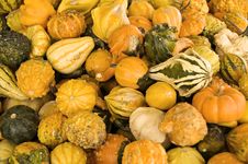 Gourds Royalty Free Stock Image Gourds Royalty Free Stock Image