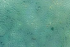 Abstract Green Background Stock Images Abstract Green Background Stock Images