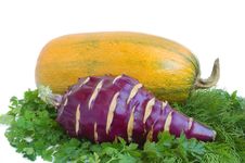 Squash, Kohlrabi And Greens Stock Photography Squash, Kohlrabi And Greens Stock Photography