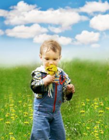 Baby Boy With Dandelions Stock Photos Baby Boy With Dandelions Stock Photos