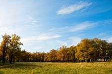 Autumn In The Oak Grove Royalty Free Stock Photos Autumn In The Oak Grove Royalty Free Stock Photos