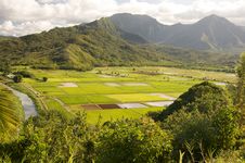 Hanalei Valley And Taro Fields Stock Image Hanalei Valley And Taro Fields Stock Image