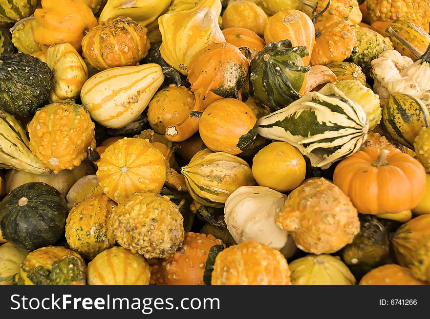 A display of gourds displayed at a famers market for holiday decorations.