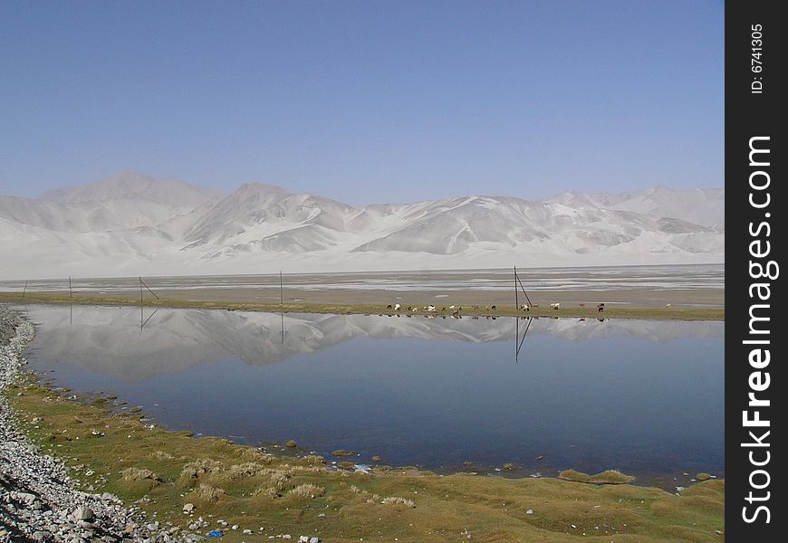 A  sandy mountain by the blue lake,  cows, sheep eating grass on the meadow by the lake. A  sandy mountain by the blue lake,  cows, sheep eating grass on the meadow by the lake.