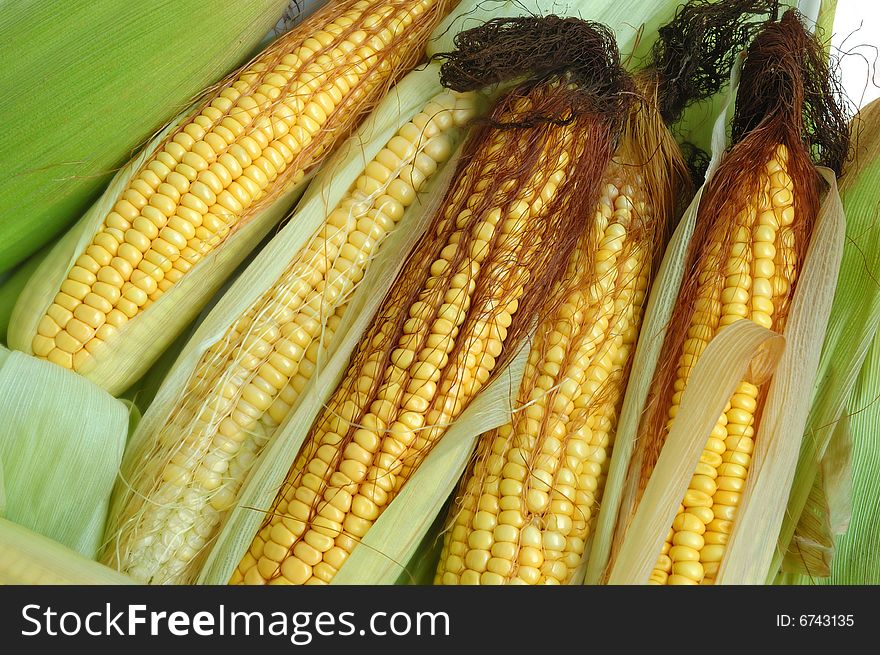 Fresh corn on the cob