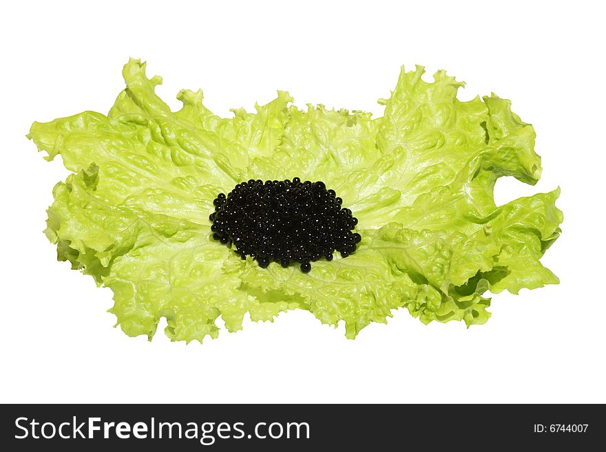 Black caviar  on lettuce leaf