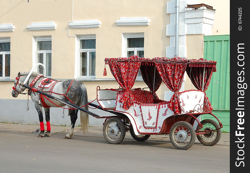 Horse and carriage on the street