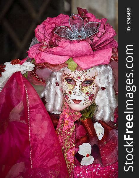 Pink costume at the Venice Carnival. Pink costume at the Venice Carnival