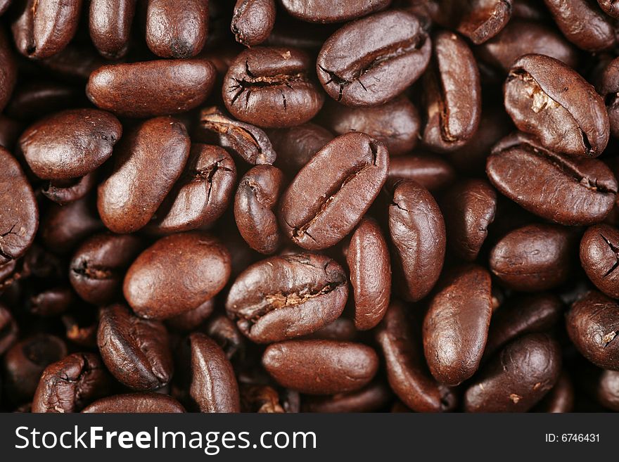 Coffee crops (macro shot). Backgrounds. Coffee crops (macro shot). Backgrounds.