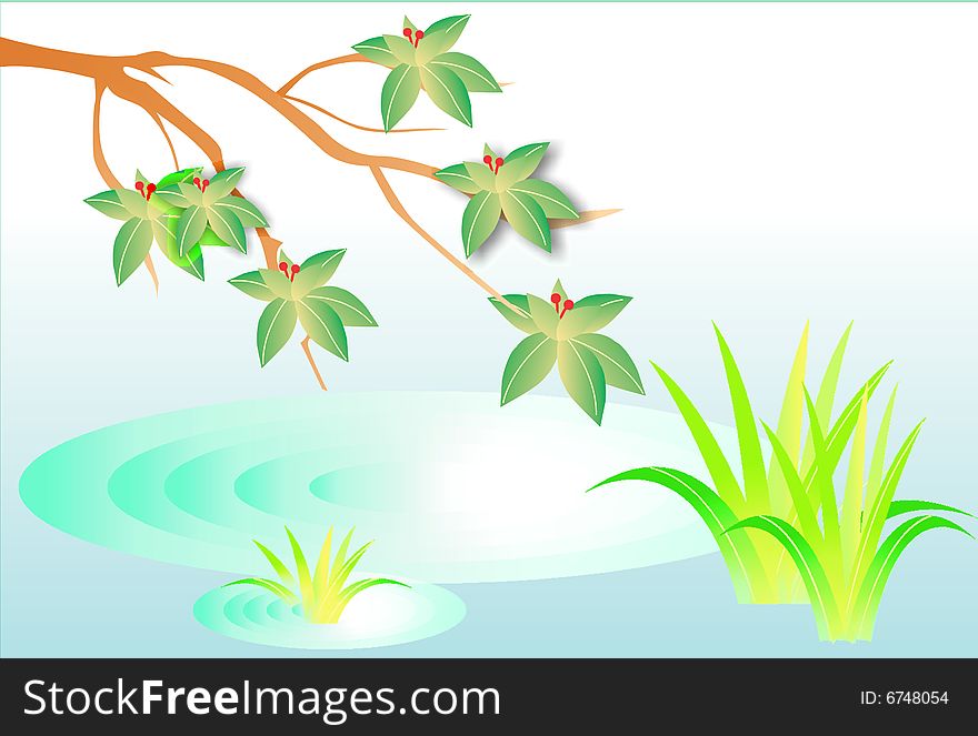Branch of tree with leaf inside lakes. Branch of tree with leaf inside lakes