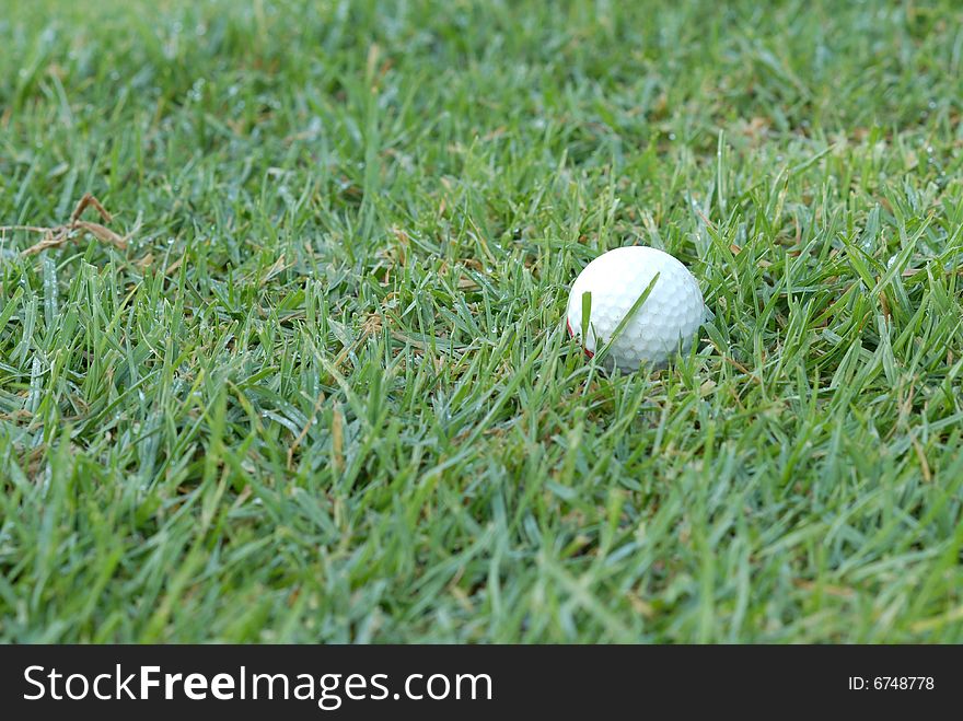 Golf ball on green grass field