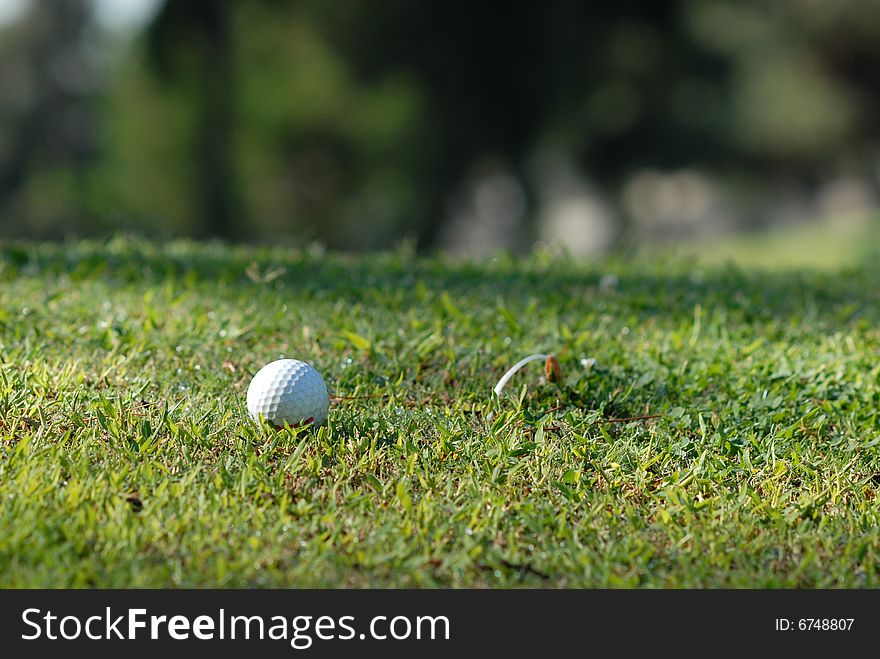 Golf ball on green grass field
