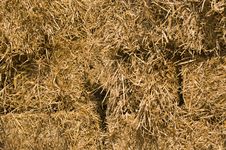 Hay Bails Royalty Free Stock Photo Hay Bails Royalty Free Stock Photo