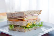 Sandwich Stock Photography