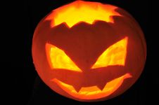 Pumpkin Stock Photos