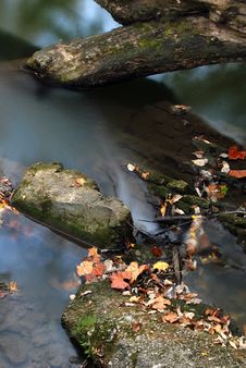 Autumn Royalty Free Stock Image Autumn Royalty Free Stock Image