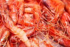Crayfish Stock Photo Crayfish Stock Photo