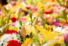 Flowers Background Royalty Free Stock Photo Flowers Background Royalty Free Stock Photo