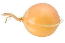 Onion Royalty Free Stock Images Onion Royalty Free Stock Images