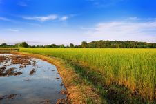 Range Of Field Stock Photography Range Of Field Stock Photography