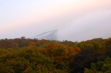 Foggy (hazy) Forest. Stock Photography Foggy (hazy) Forest. Stock Photography