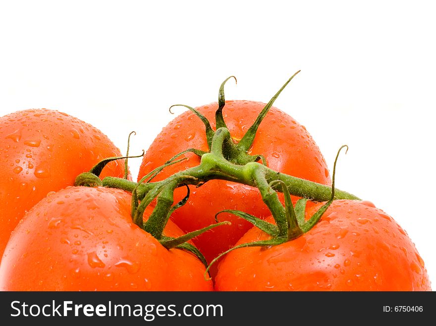 Red tomatos with green branch.Close-up and Isolated on white.