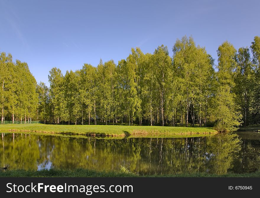 Landscape with birch forest near lake under blue sky. Landscape with birch forest near lake under blue sky