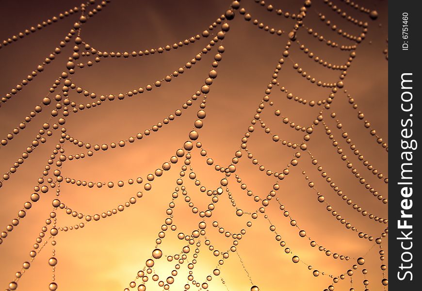 Close up of a spider web with dew drops. Close up of a spider web with dew drops