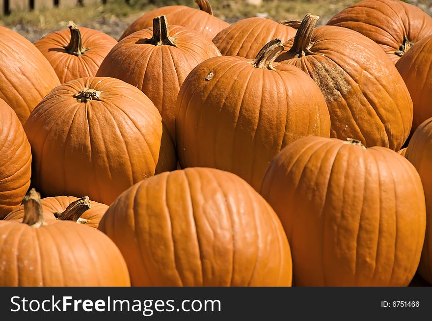 A display of big, bright, orange pumpkins for fall. A display of big, bright, orange pumpkins for fall.