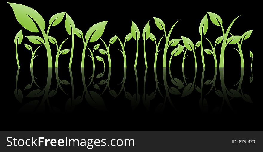 Leaves with reflection, vector illustration