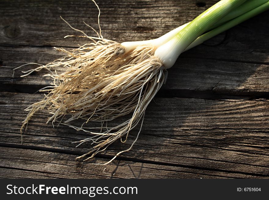 Organick leek on weathering wooden table