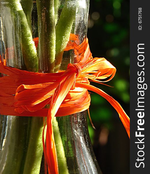 Vase with the flowers tied up in a bow. Vase with the flowers tied up in a bow