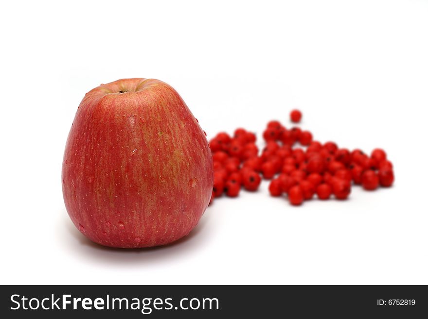 Apple With Ashberry (rowanberry) Near