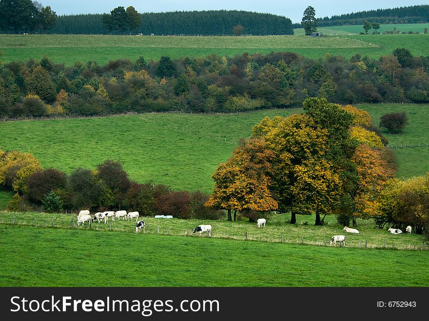 Beautiful autumn country landscape in belgium (Ardennes)