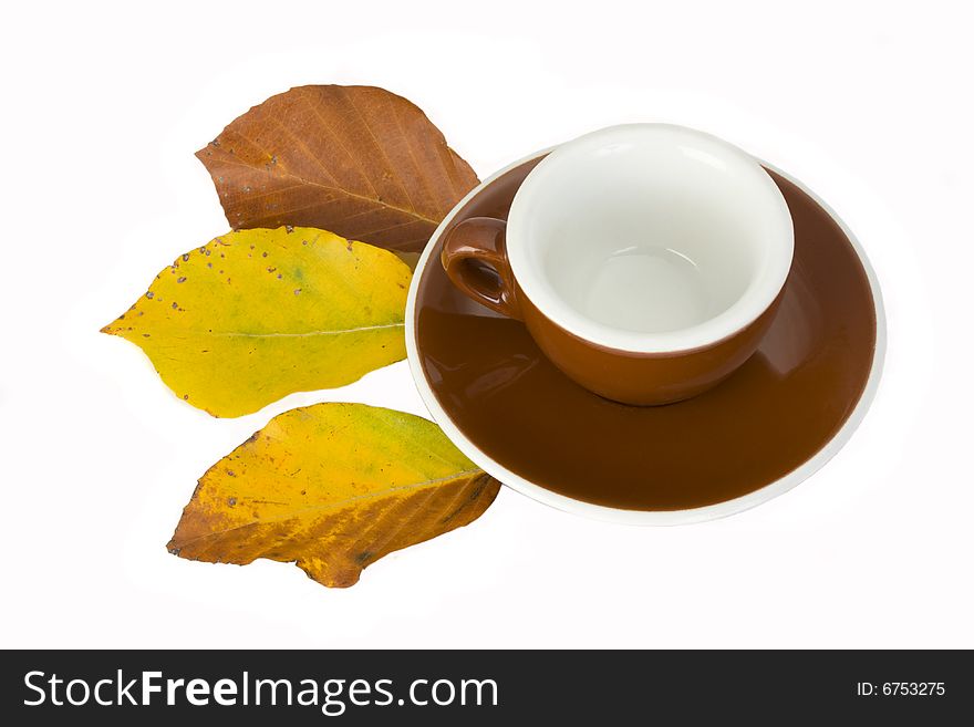 Empty espresso cup with beech leaves in autumn