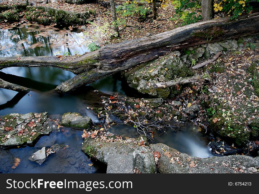 This is an Autumn scene.It contains many elements of a fall scene. It has fallen timber, water, leaves and other objects that remind us of fall. This is an Autumn scene.It contains many elements of a fall scene. It has fallen timber, water, leaves and other objects that remind us of fall.