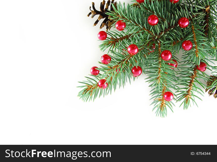 Branch of new year's tree with red balls on the white background