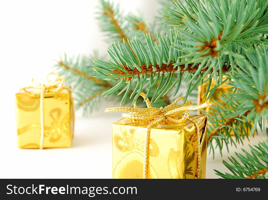 Golden gift under a branch of tree on the white background